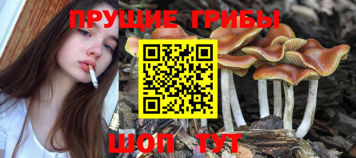 Псилоцибиновые грибы Magic Shrooms Морозовск